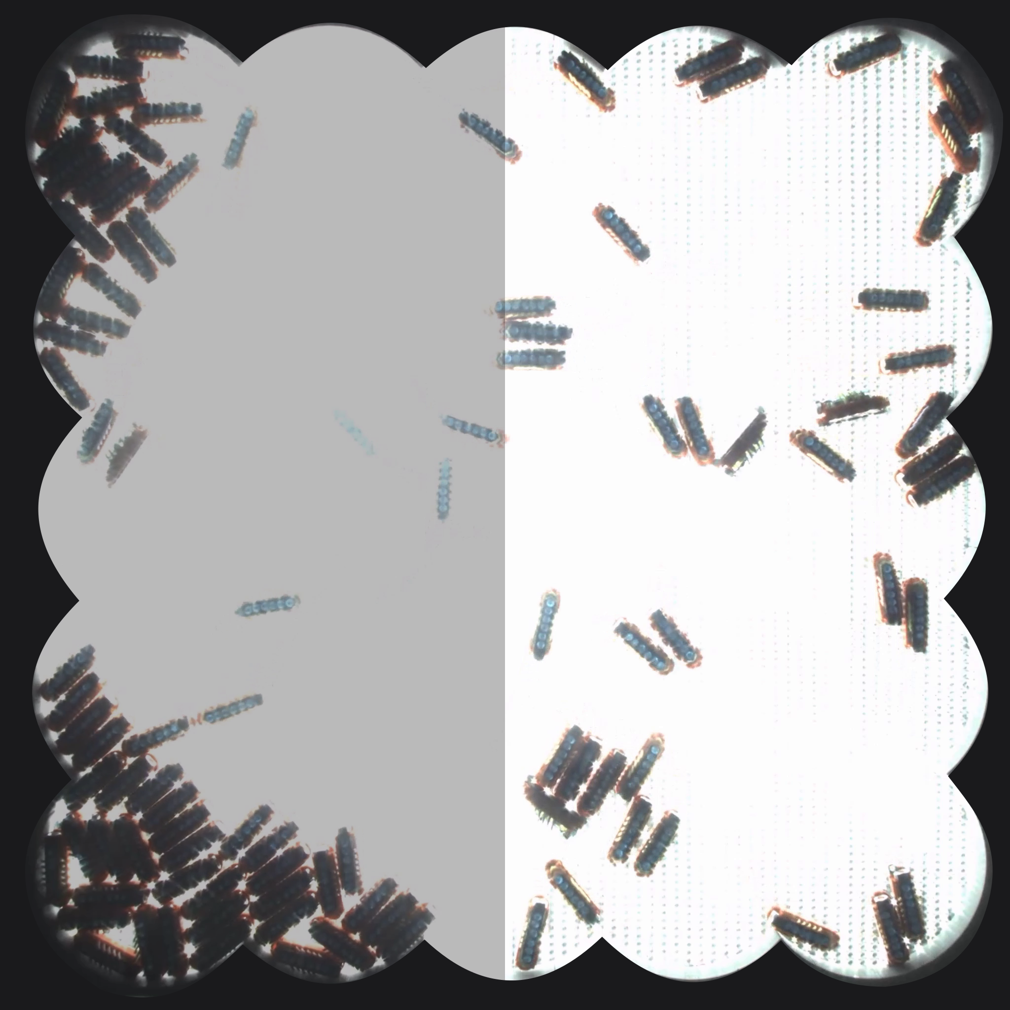Clusters